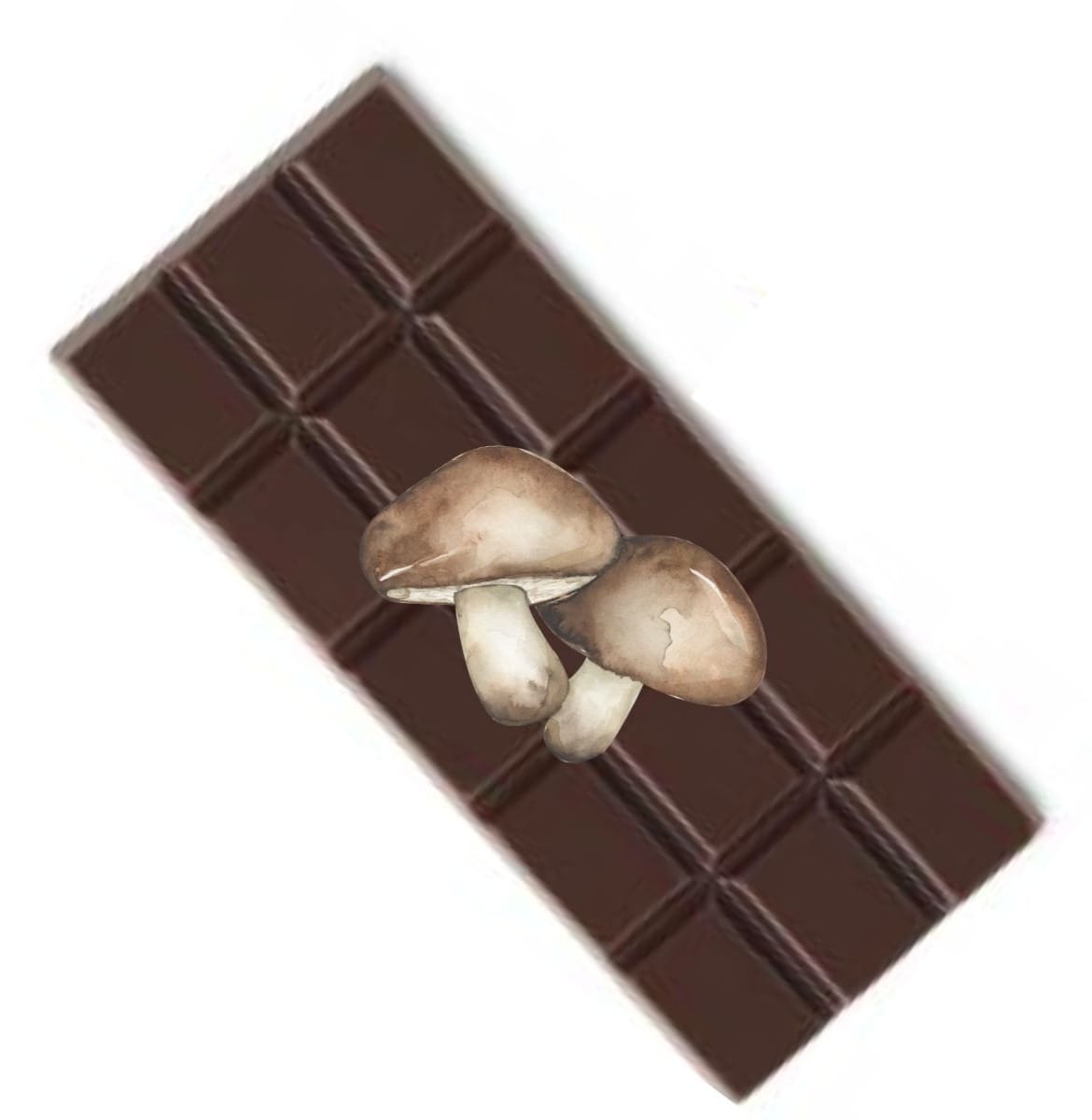 Niños Santos barra de 50 g de chocolate